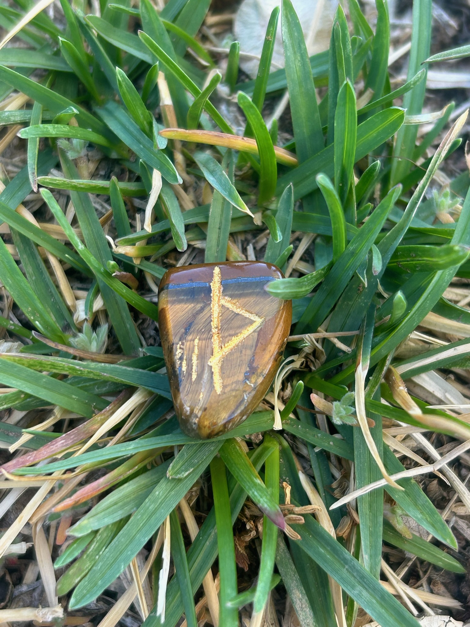 Today’s Energy: The Sacred Power Of Anchoring Into Presence- Fully, And Wholly- Within The Unfolding Moments Of Your Everyday.
