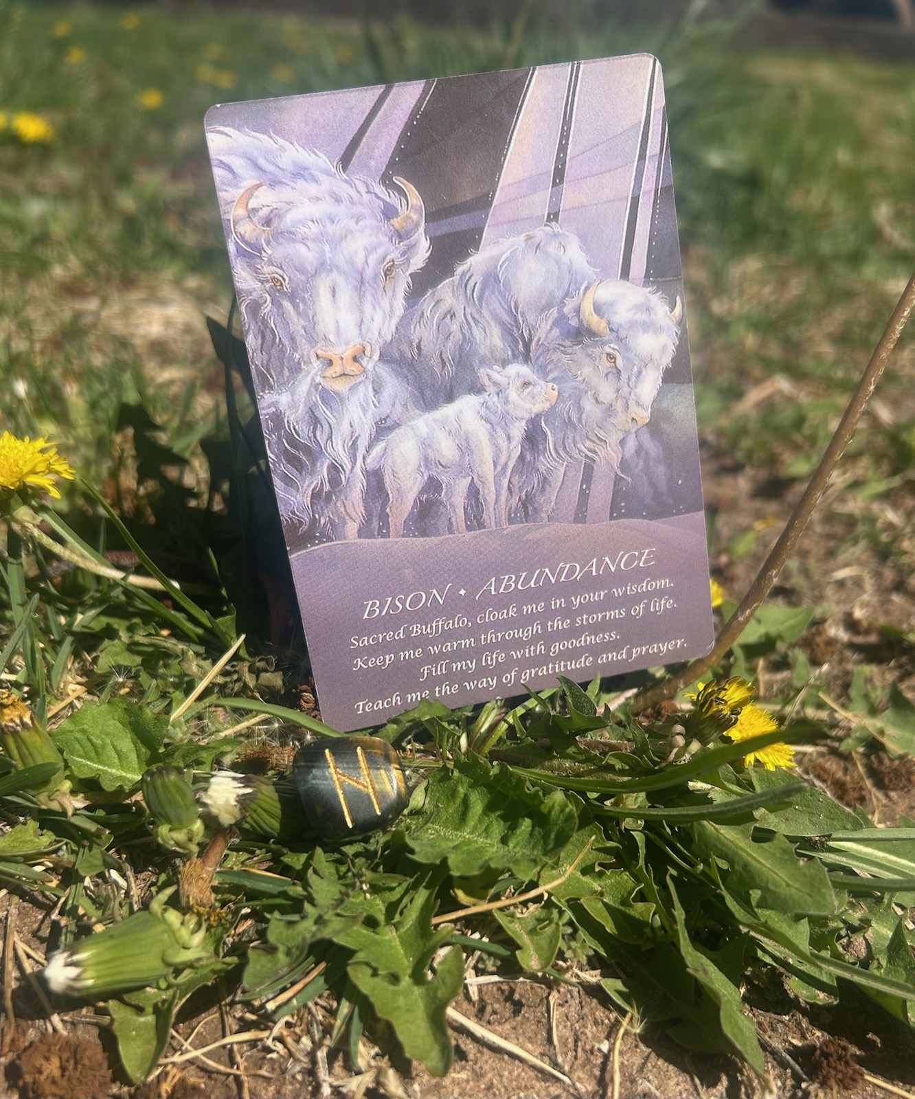 Today’s Energy: Sacred Storms & Steady Steps