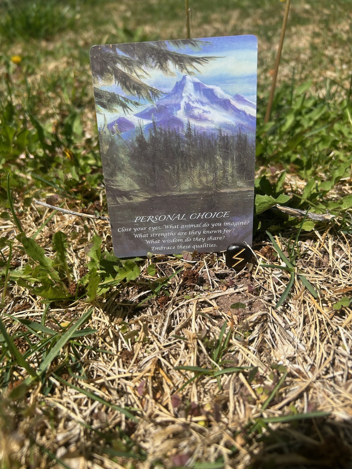 Today’s Energy: Lead with Clarity, Choose with Purpose