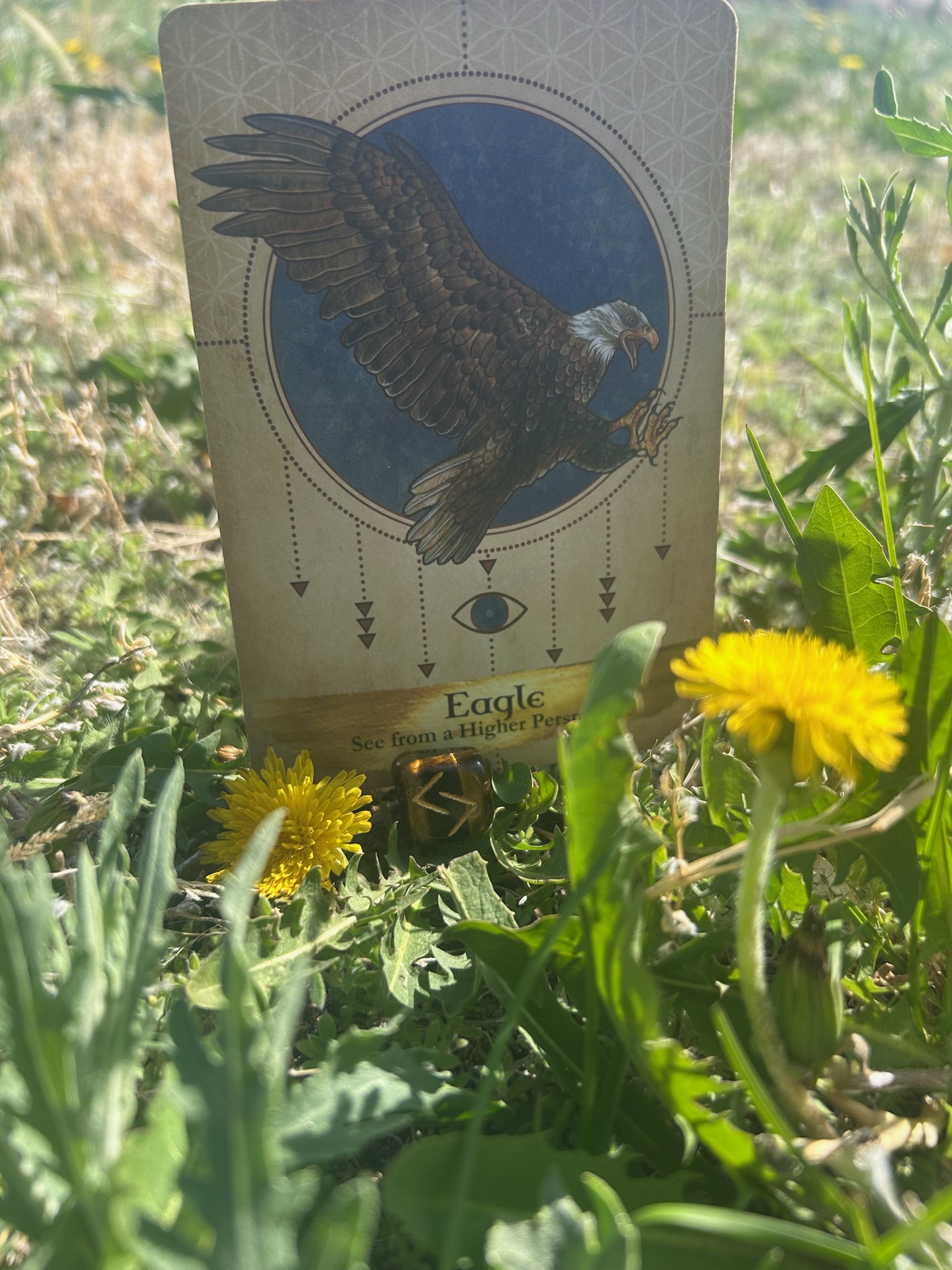 Today’s Energy: Wings of Vision, Roots of Knowing