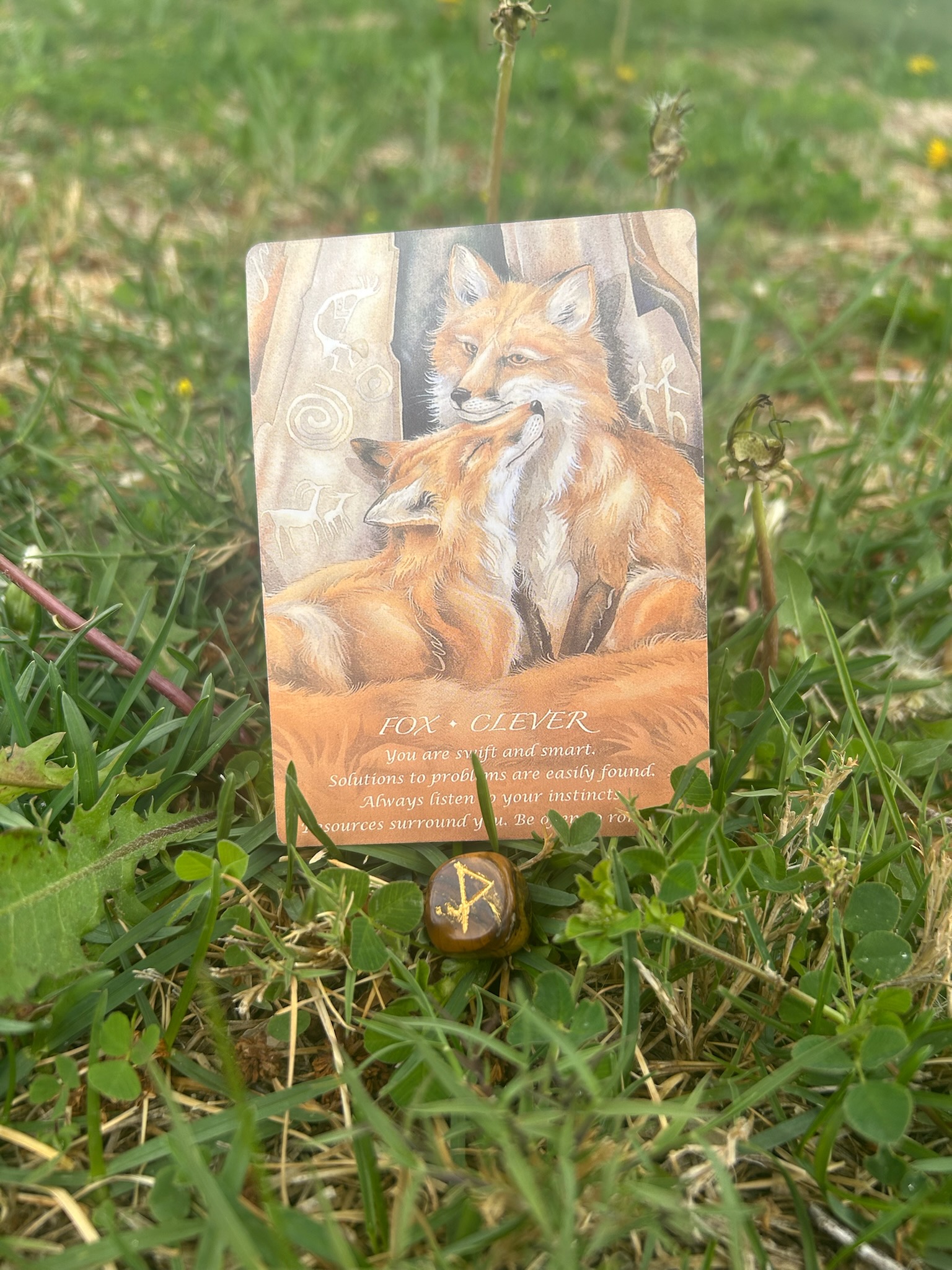Today’s Energy: Clever Roots & Blossoms of Joy