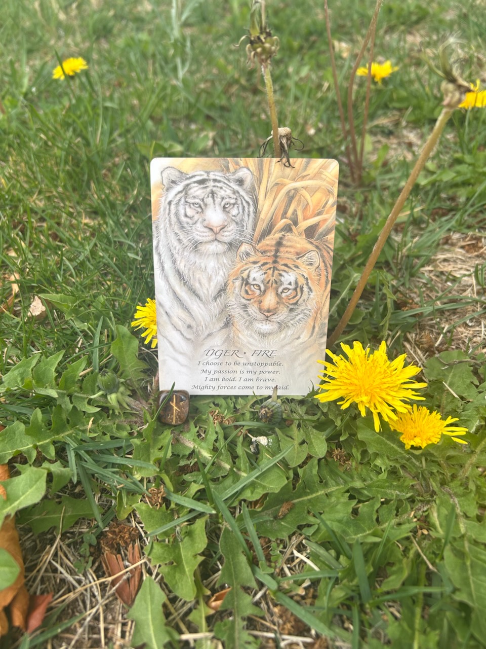 Today’s Energy: Tending the Inner Flame: The Sacred Fire Within