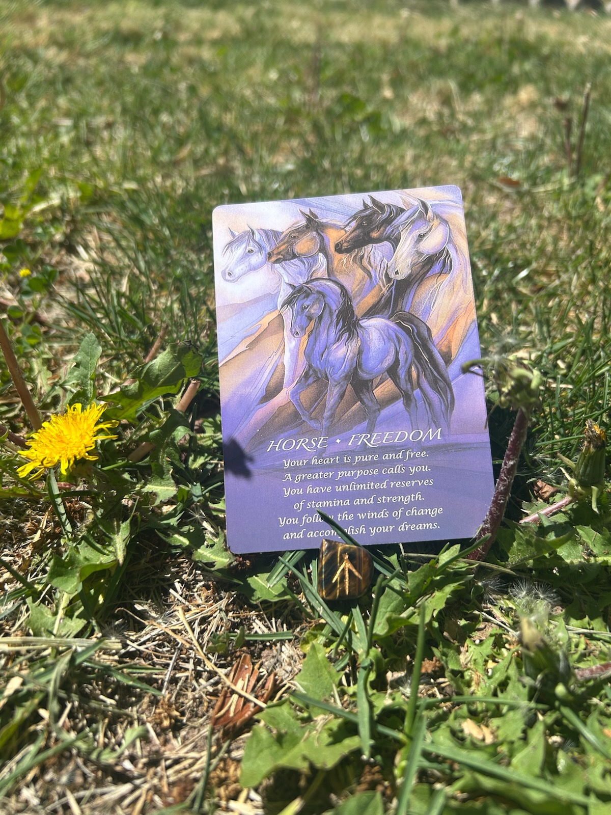 Today’s Energy: Freedom Through Alignment