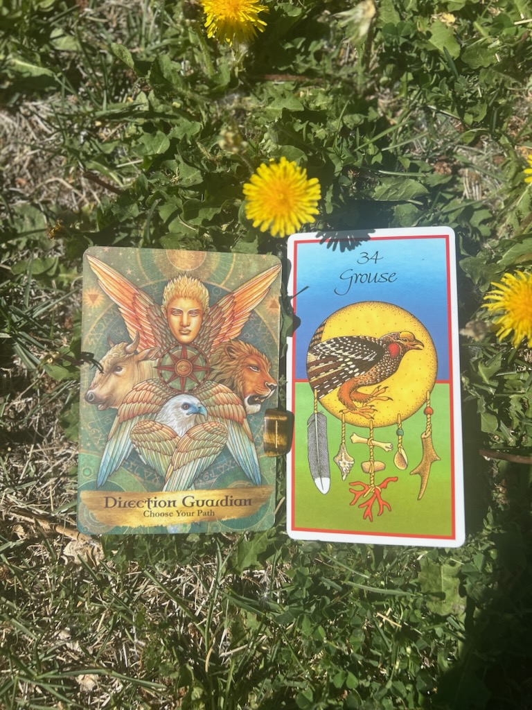 Today’s Energy: Rooted Stillness, Sacred Change