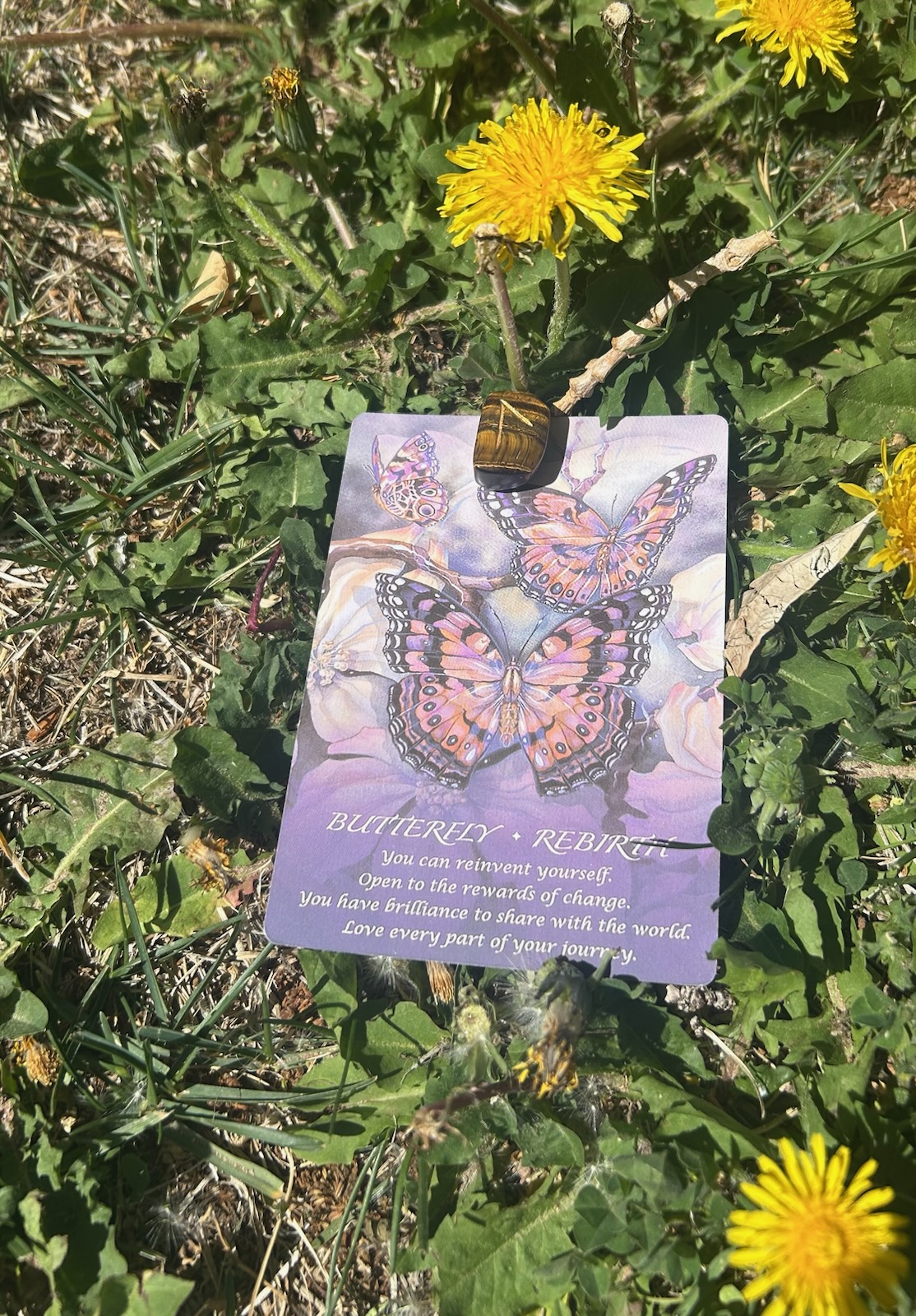 Today’s Energy: Becoming Me Was the Leap
