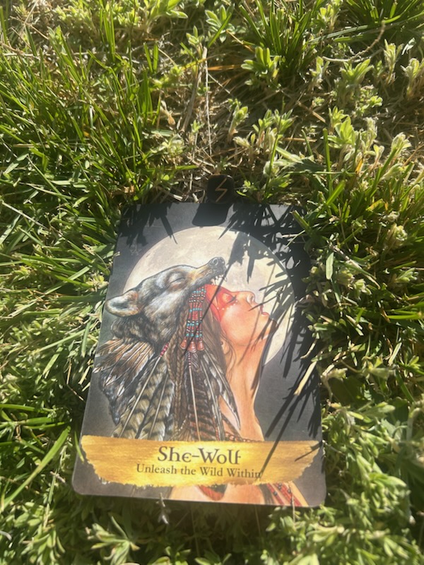 Today’s Energy: Unleashing the Light Within the Wild