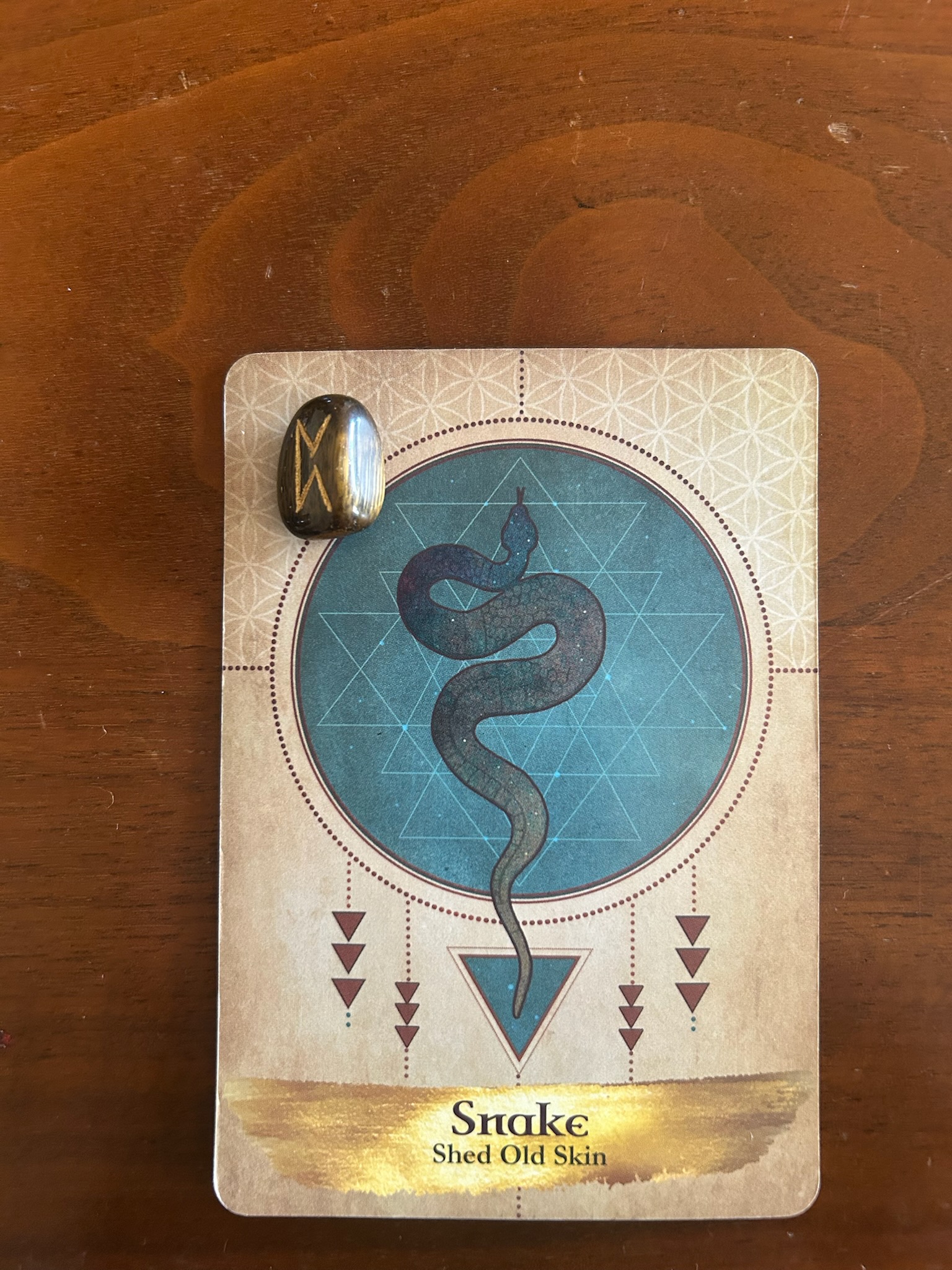 Today’s Energy: The Sacred Shedding – Embrace the Mystery